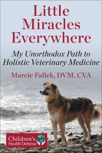 Book Cover for Little Miracles Everywhere by Marcie Fallek
