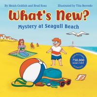 Book Cover for Mystery at Seagull Beach by Meish Goldish, Brad Ross