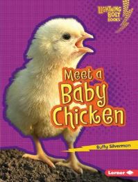 Book Cover for Meet a Baby Chicken by Buffy Silverman