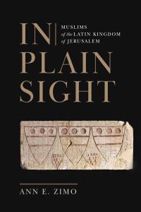 Book Cover for In Plain Sight by Ann E. Zimo