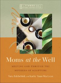 Book Cover for Moms at the Well by Tara Edelschick, Kathy TuanMacLean