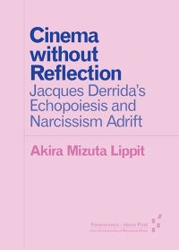 Book Cover for Cinema Without Reflection by Akira Mizuta Lippit