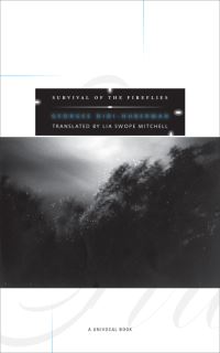 Book Cover for Survival of the Fireflies by Georges DidiHuberman