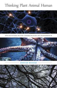 Book Cover for Thinking Plant Animal Human by David Wood