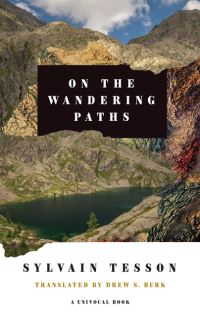 Book Cover for On the Wandering Paths by Sylvain Tesson