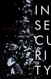 Book Cover for Insecurity by Richard A Grusin