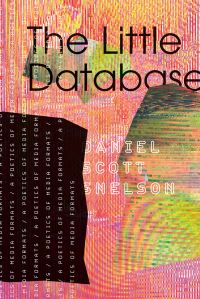 Book Cover for The Little Database by Danny Snelson