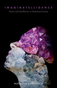 Book Cover for Imaginatelligence by Natasha Lushetich