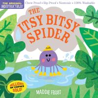 Book Cover for The Itsy Bitsy Spider by Maddie Frost