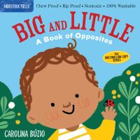 Book Cover for Big and Little by Carolina Búzio,   Workman Publishing Company
