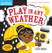Book Cover for Play in Any Weather by Elizabeth Doyle