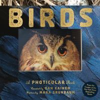 Book Cover for Birds by Dan Kainen, Mara Grunbaum