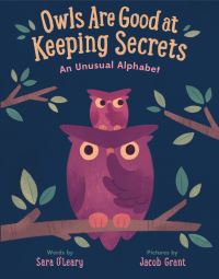 Book Cover for Owls Are Good at Keeping Secrets by Sara OLeary
