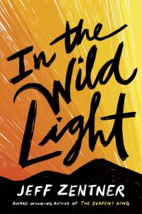 Book Cover for In the Wild Light by Jeff Zentner