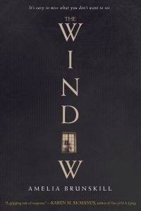 Book Cover for The Window by Amelia Brunskill