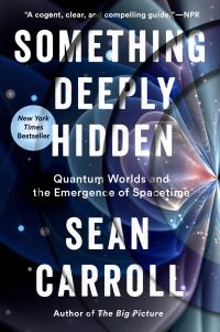 Book Cover for Something Deeply Hidden by Sean Carroll