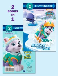 Book Cover for Break the Ice! by Courtney Carbone, Tex Huntley, Courtney Carbone, Tex Huntley, Andy Guerdat, Ursula ZieglerSullivan, MJ Illustrations Group