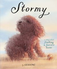 Book Cover for Stormy by Guojing