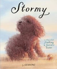 Book Cover for Stormy by Guojing