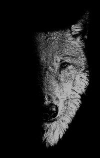 Book Cover for In the Company of Wolves by Sam George, Bill Hughes