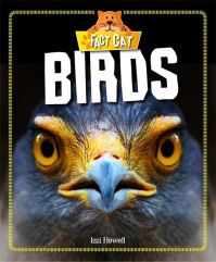 Book Cover for Birds by Izzi Howell