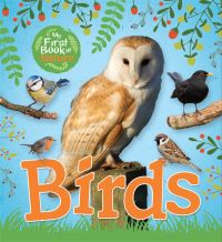 Book Cover for Birds by Victoria Munson