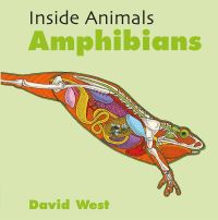 Book Cover for Amphibians by David West