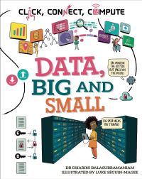 Book Cover for Data, Big and Small by Dharini Balasubramaniam