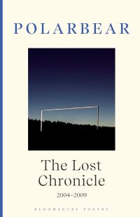 Book Cover for The Lost Chronicle by Steven Camden
