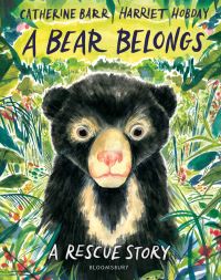 Book Cover for A Bear Belongs by Catherine Barr