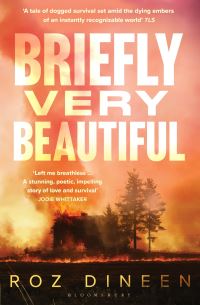 Book Cover for Briefly Very Beautiful by Roz Dineen