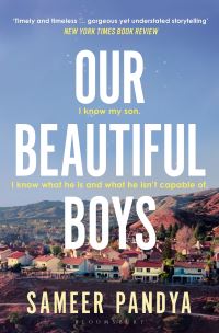 Book Cover for Our Beautiful Boys by Sameer Pandya
