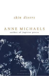 Book Cover for Skin Divers by Anne Michaels