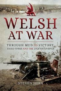 Book Cover for The Welsh at War by Steven John