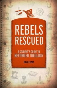 Book Cover for Rebels Rescued by Brian H Cosby