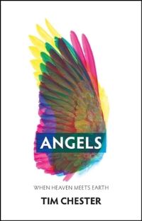 Book Cover for Angels by Tim Chester