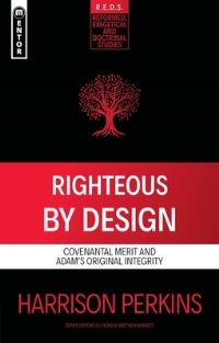 Book Cover for Righteous By Design by Harrison Perkins