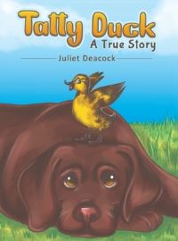 Book Cover for Tatty Duck by Juliet Deacock