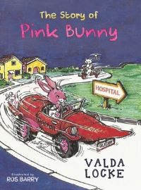 Book Cover for The Story of Pink Bunny by Valda Locke