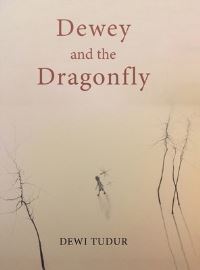 Book Cover for Dewey and the Dragonfly by Dewi Tudur