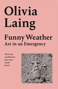 Book Cover for Funny Weather by Olivia Laing