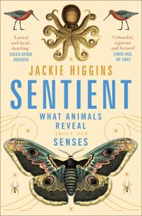 Book Cover for Sentient by Jackie Higgins