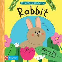 Book Cover for Rabbit by Barbara Taylor