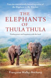 Book Cover for The Elephants of Thula Thula by Françoise MalbyAnthony