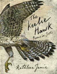 Book Cover for The Keelie Hawk by Kathleen Jamie