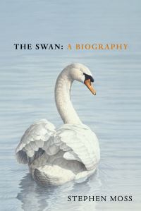 Book Cover for The Swan by Stephen Moss