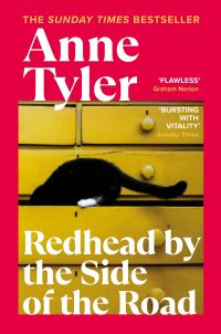 Book Cover for Redhead by the Side of the Road by Anne Tyler