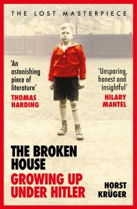 Book Cover for The Broken House by Horst Krüger