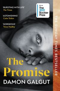 Book Cover for The Promise by Damon Galgut