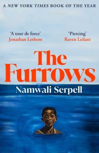 Book Cover for The Furrows by Namwali Serpell